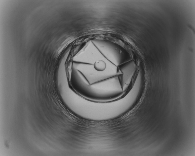 X0000100881259200807111333