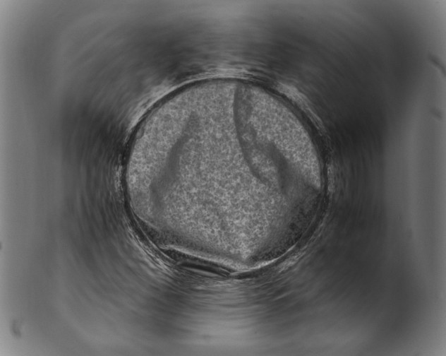 X0000100881260200807111333