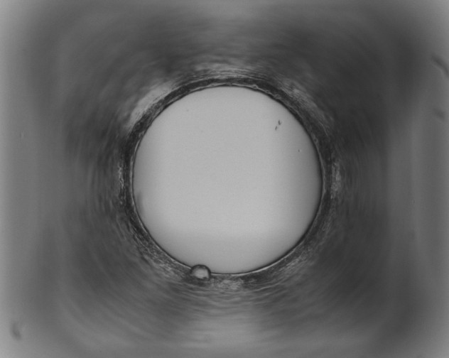 X0000100881261200807111333