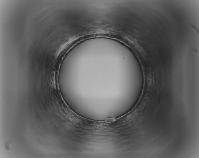 X0000100881262200807111333