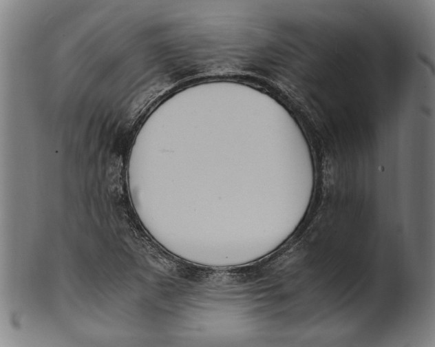 X0000100881265200807111333