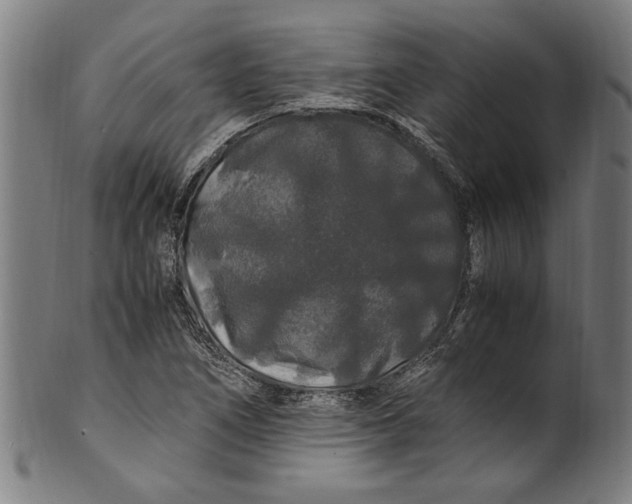 X0000100881266200807111333