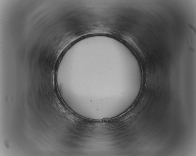 X0000100881268200807111333