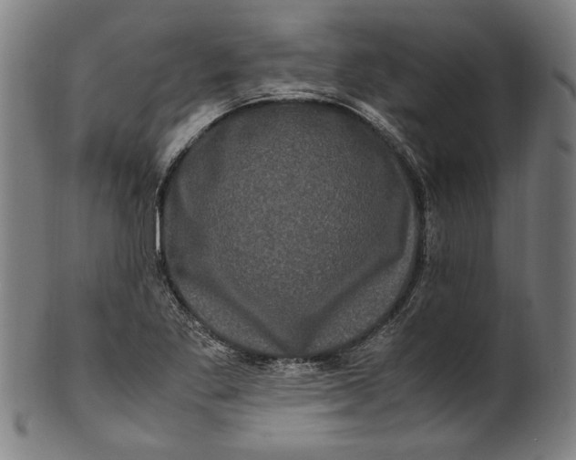 X0000100881269200807111333