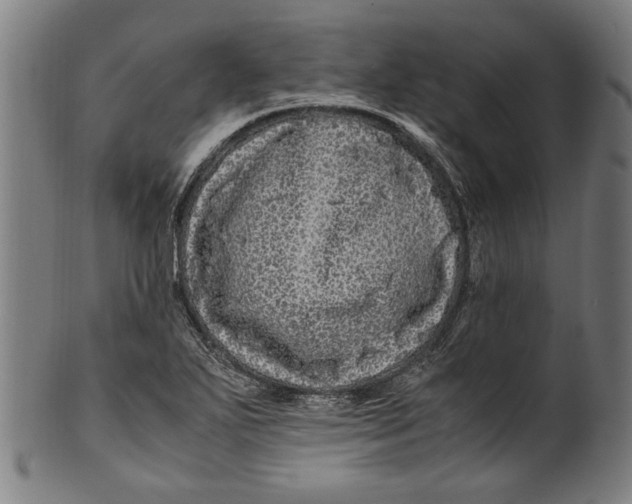 X0000100881271200807111333