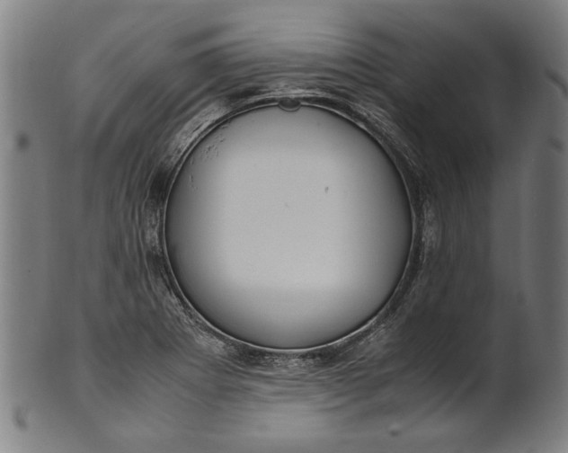 X0000100881273200807111333