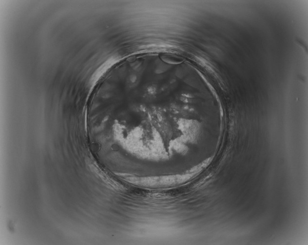 X0000100881275200807111333