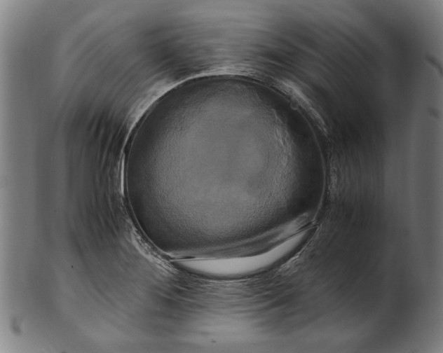 X0000100881276200807111333