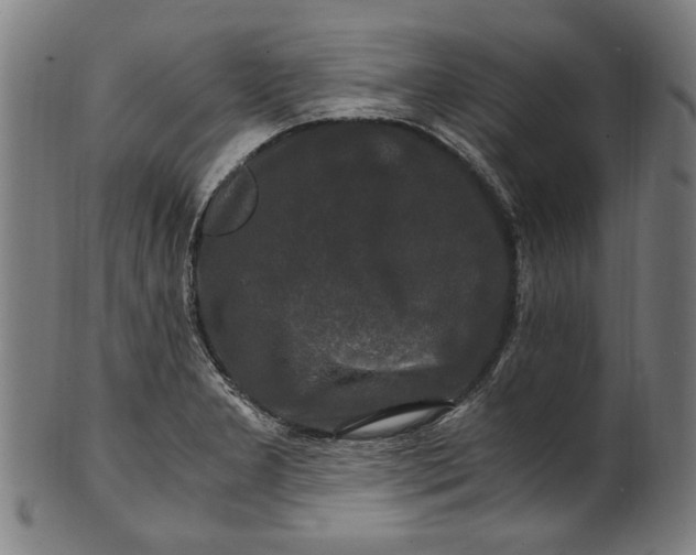 X0000100881277200807111333