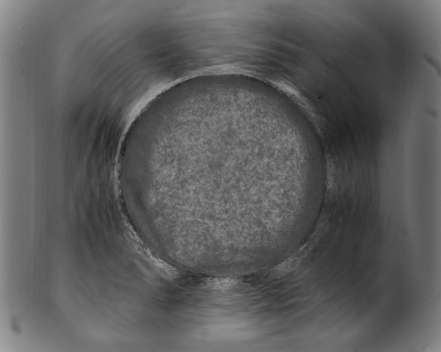 X0000100881278200807111333