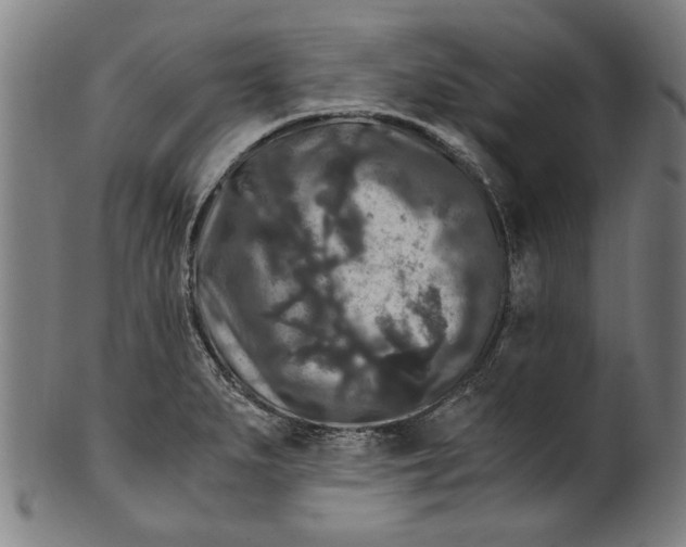 X0000100881279200807111333