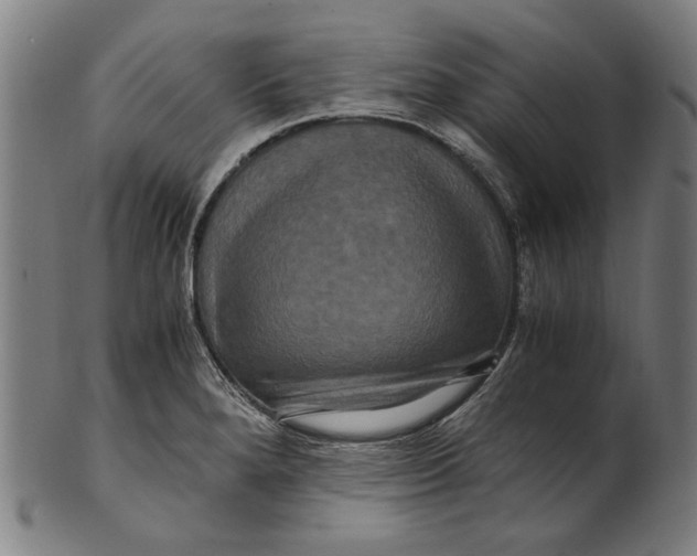 X0000100881280200807111333