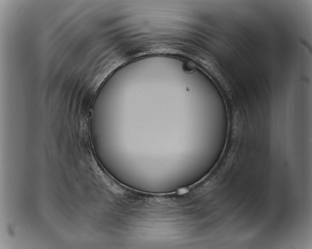 X0000100881281200807111333