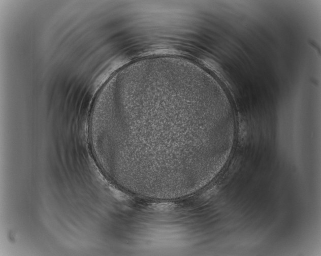 X0000100881282200807111333