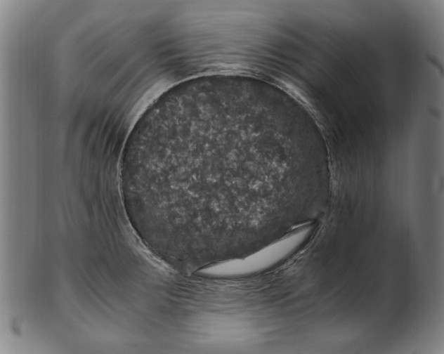 X0000100881283200807111333