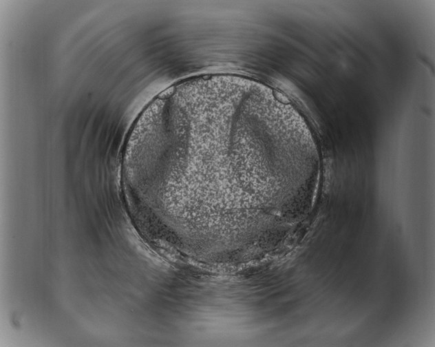 X0000100881284200807111333