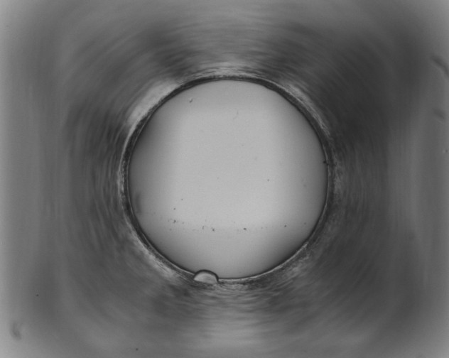 X0000100881285200807111333