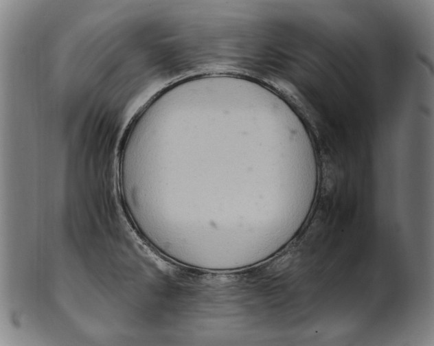 X0000100881286200807111333