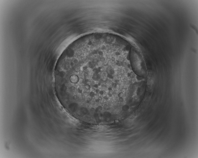 X0000100881287200807111333