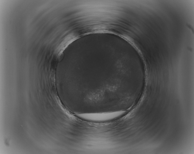 X0000100881289200807111333