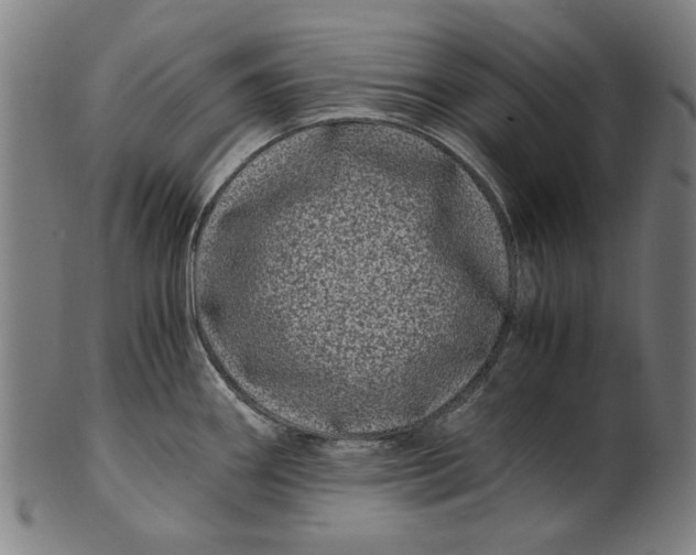 X0000100881290200807111333