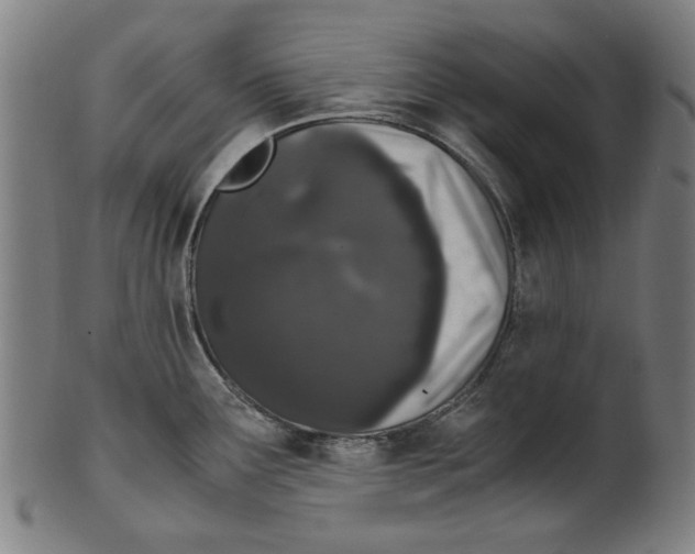 X0000100881291200807111333