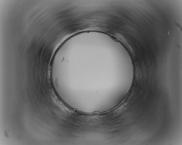 X0000100881292200807111333