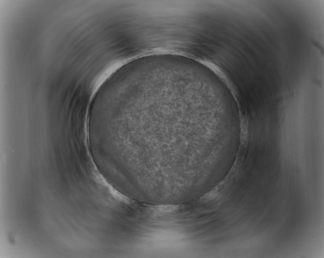 X0000100881294200807111333