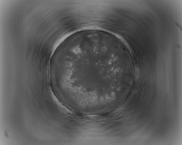 X0000100881295200807111333