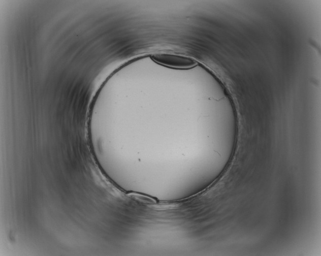 X0000100881296200807111333