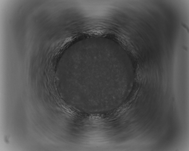 X0000100881297200807111332