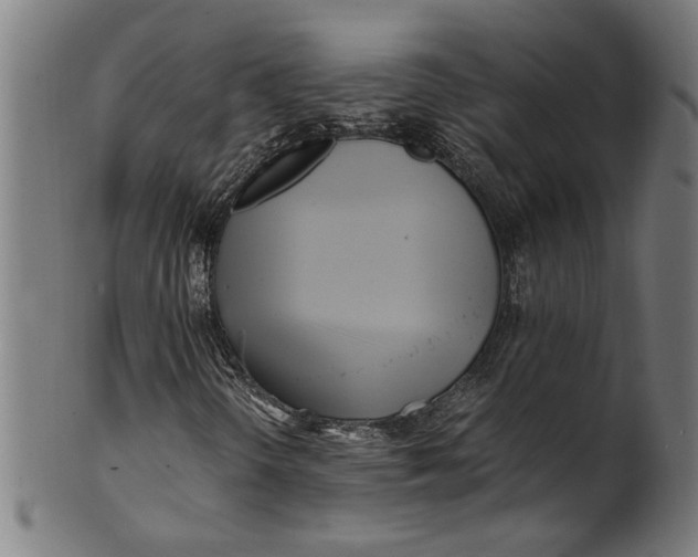 X0000100881298200807111332