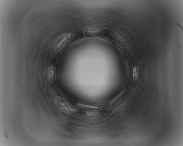 X0000100881299200807111332