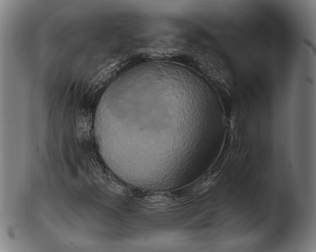 X0000100881300200807111332