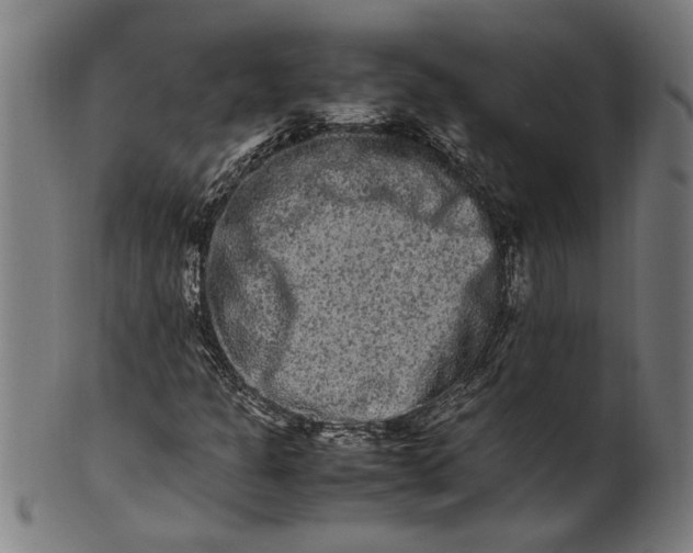 X0000100881301200807111332