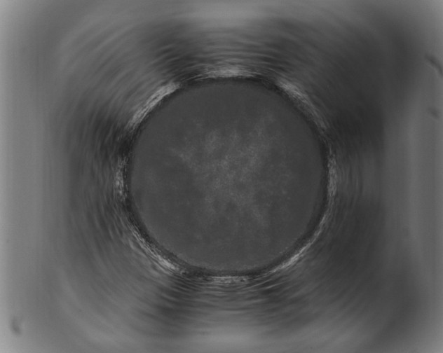 X0000100881305200807111332