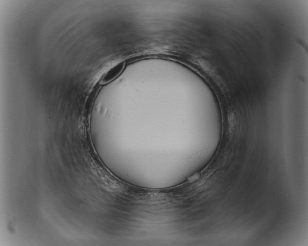 X0000100881308200807111332