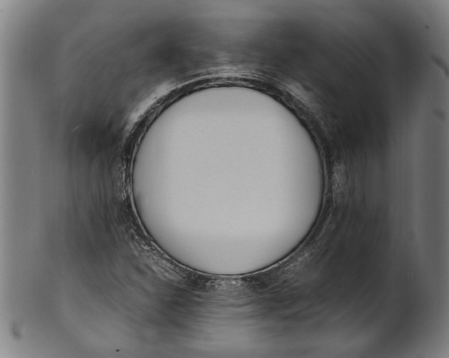 X0000100881310200807111332