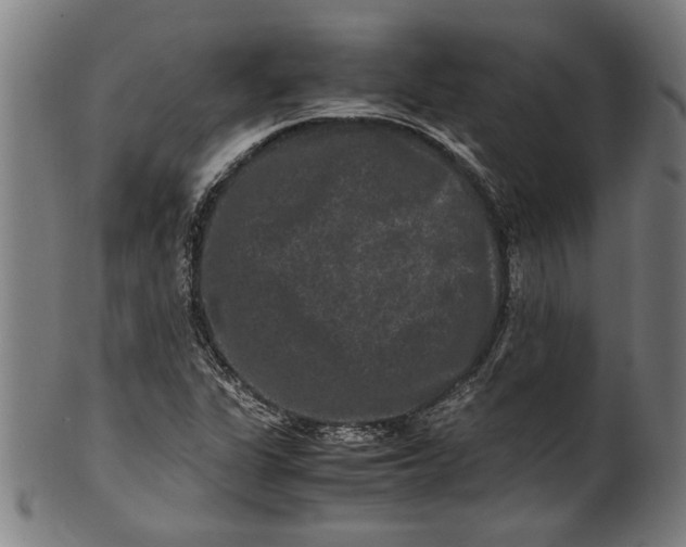 X0000100881311200807111332