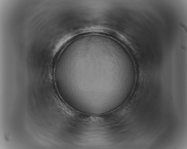 X0000100881312200807111332