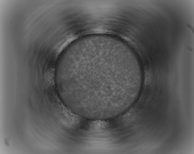 X0000100881314200807111332