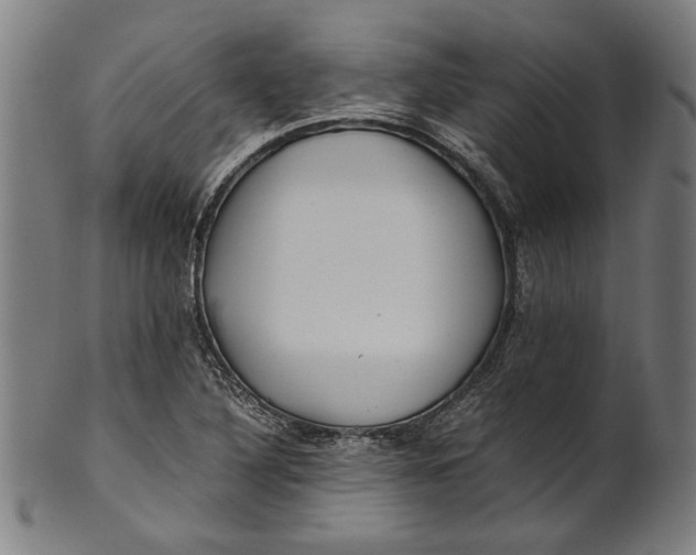 X0000100881316200807111332