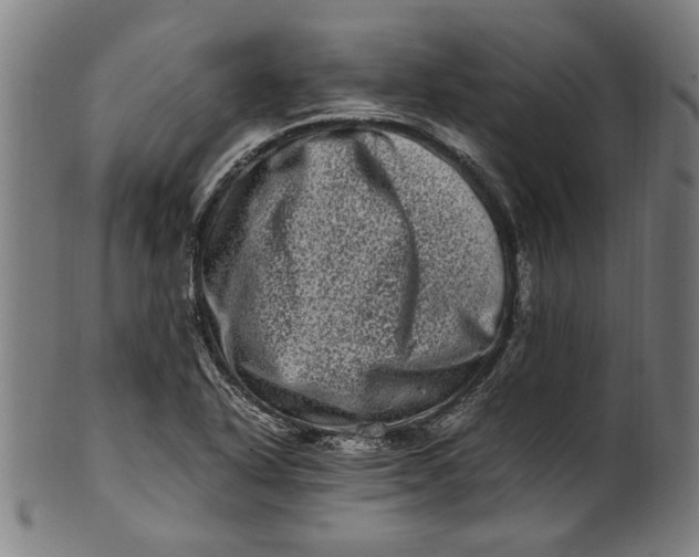 X0000100881318200807111332