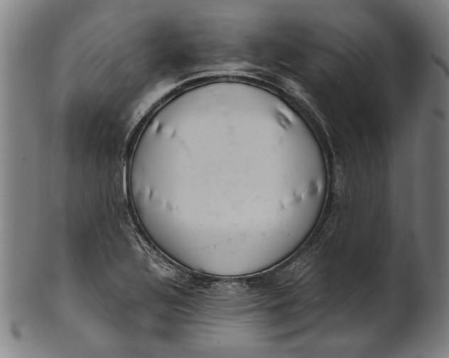 X0000100881320200807111332