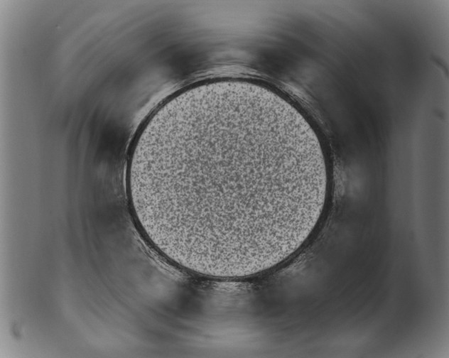 X0000100881322200807111332