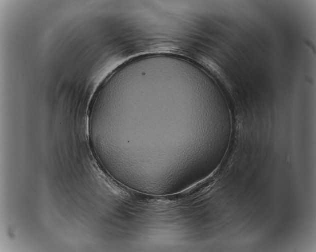 X0000100881324200807111332