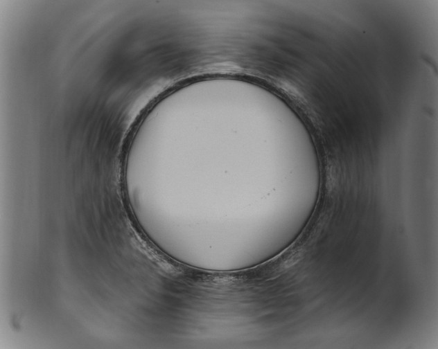 X0000100881326200807111332