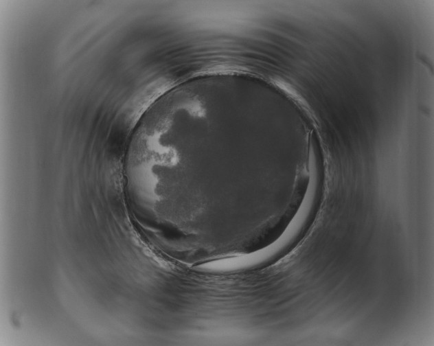 X0000100881329200807111333