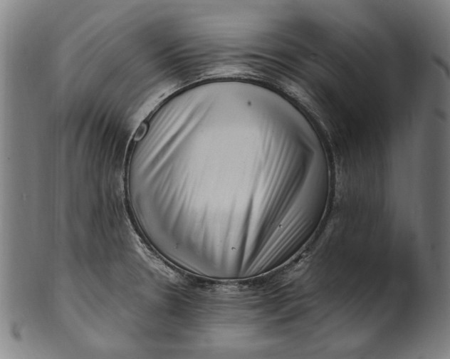 X0000100881330200807111333