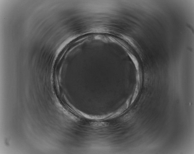 X0000100881331200807111333